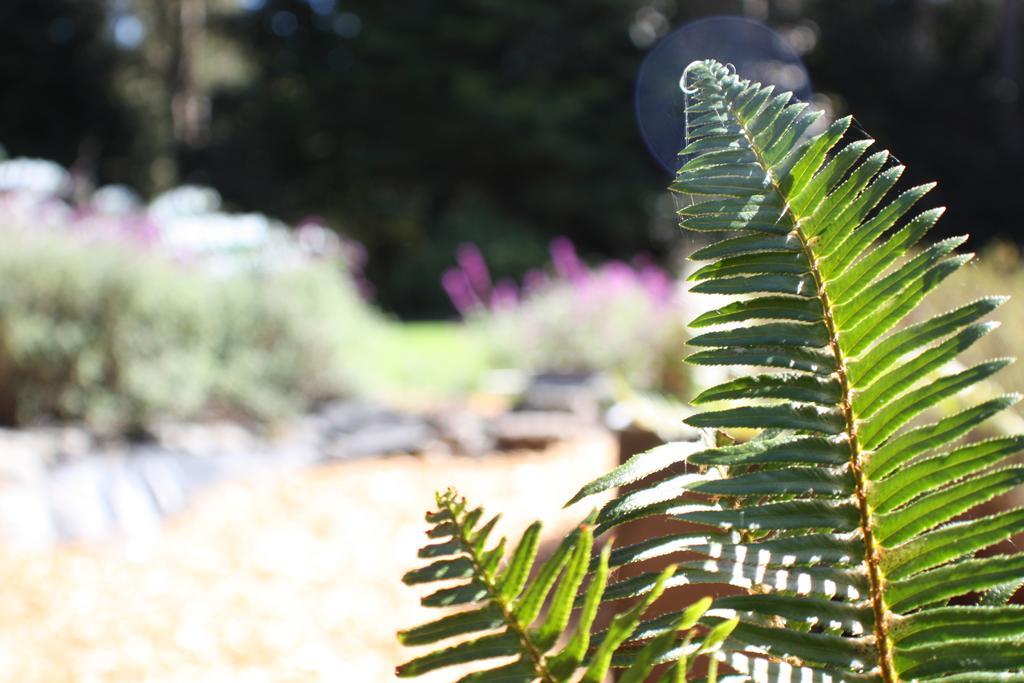 Little River Mendocino Inn & Spa المظهر الخارجي الصورة