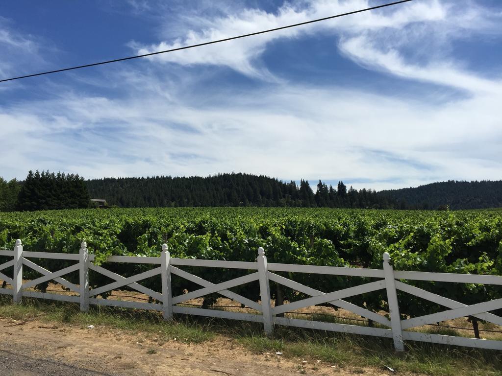 Little River Mendocino Inn & Spa المظهر الخارجي الصورة