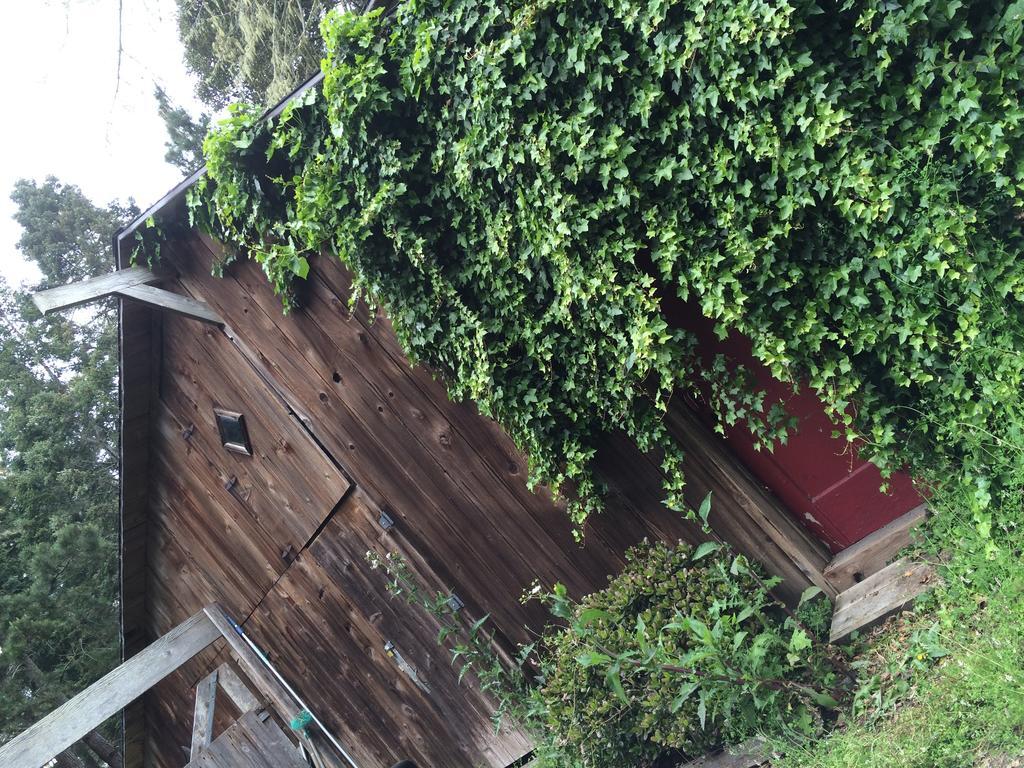 Little River Mendocino Inn & Spa المظهر الخارجي الصورة